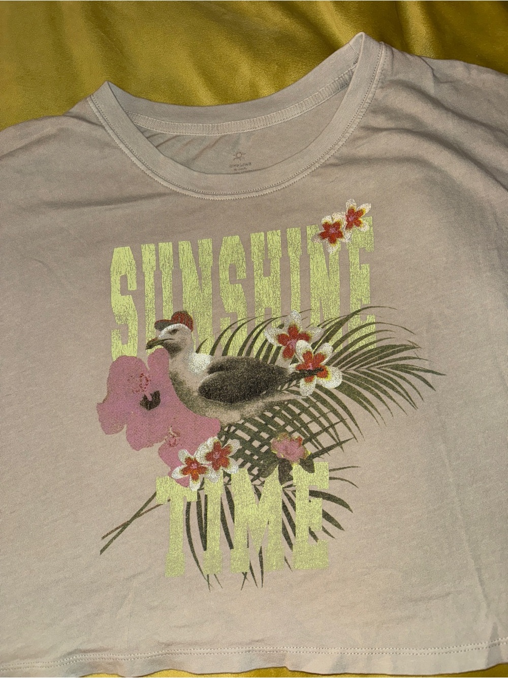 Aerie 'Sunshine Time' Graphic Cropped Tee